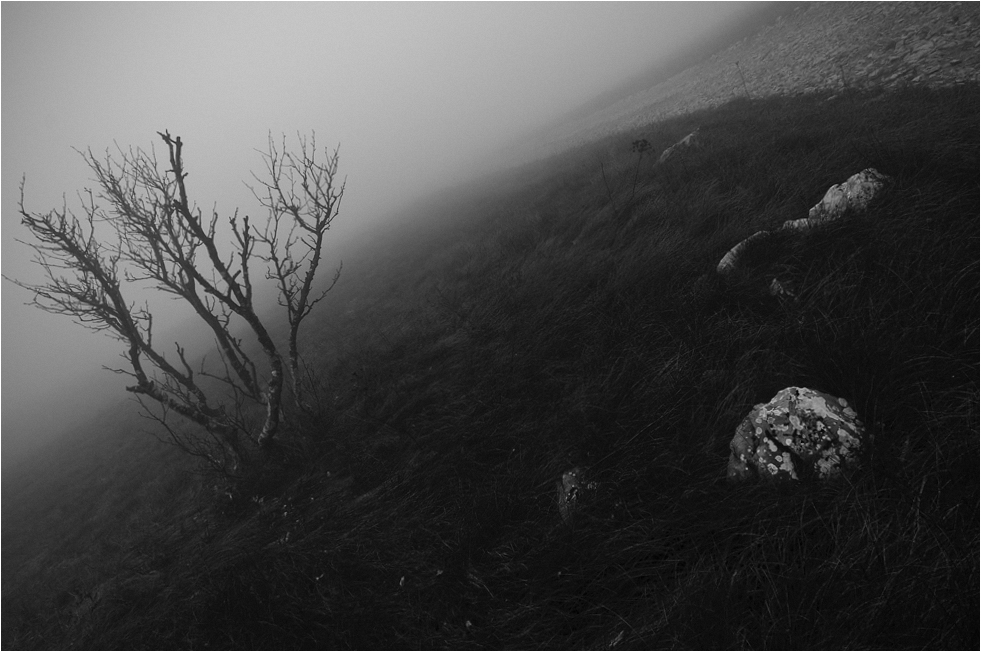 Misty