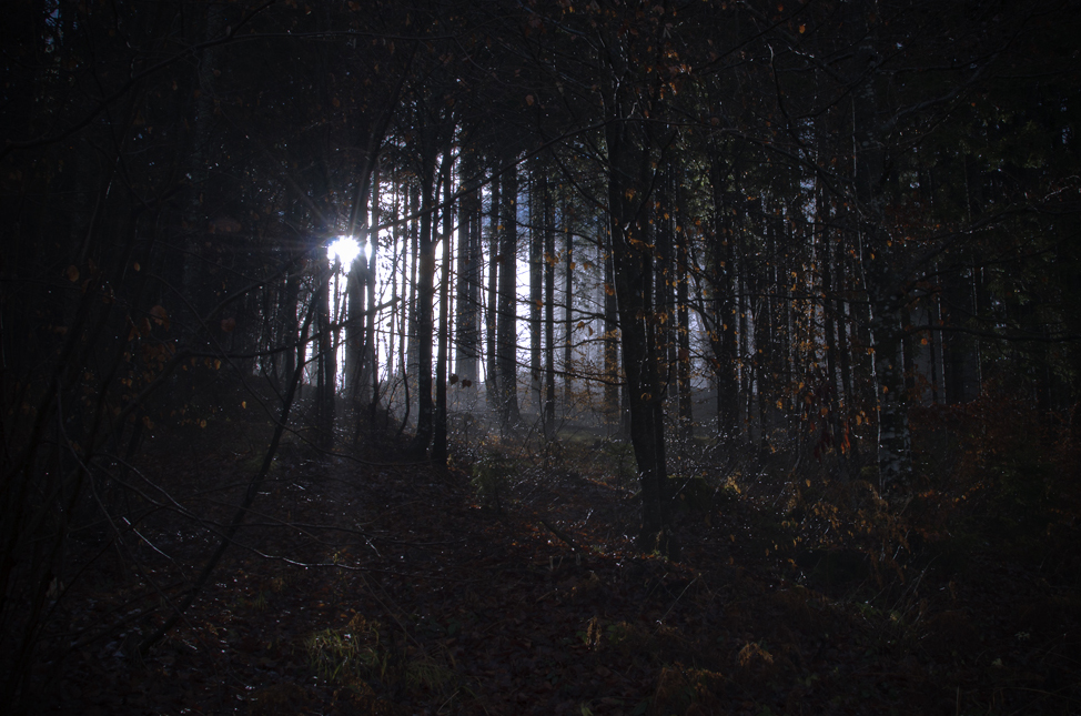 First rays