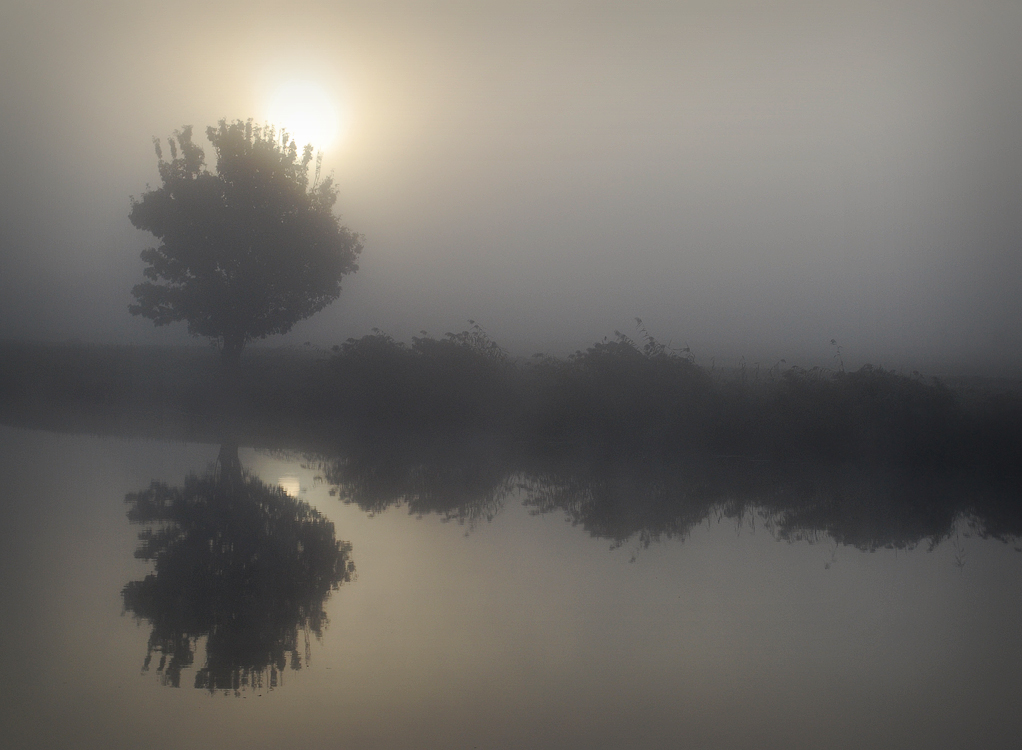 Morning in Burgundy