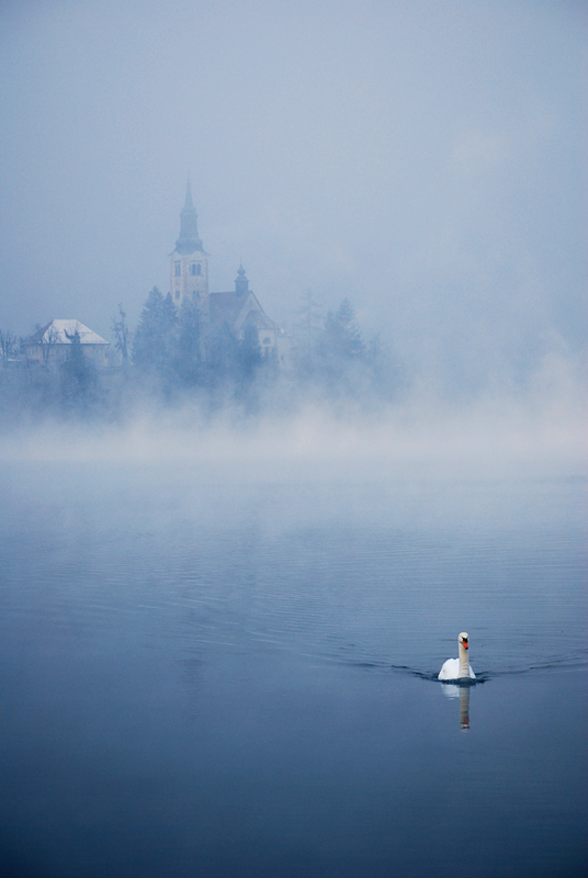 Tranquility