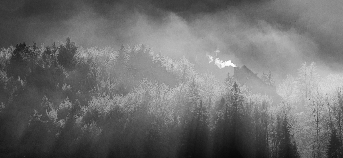 Shining through