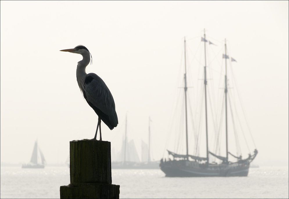 I sail my element