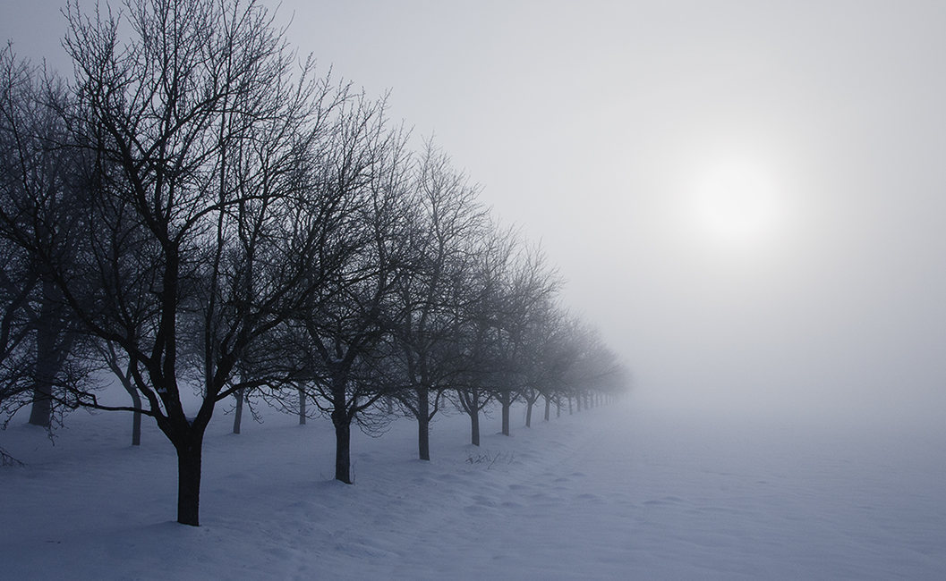Into fog