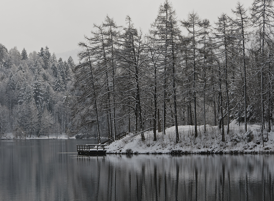 Winter reflections