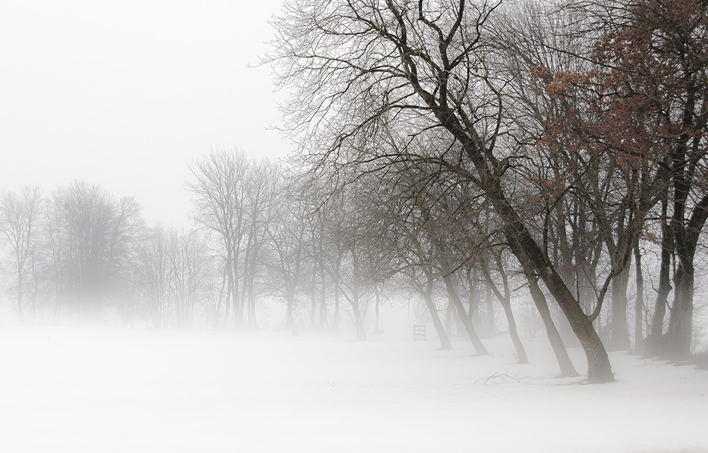 Play Misty for Me