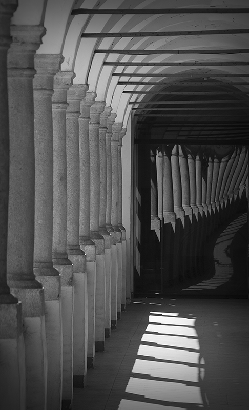 Distortion II