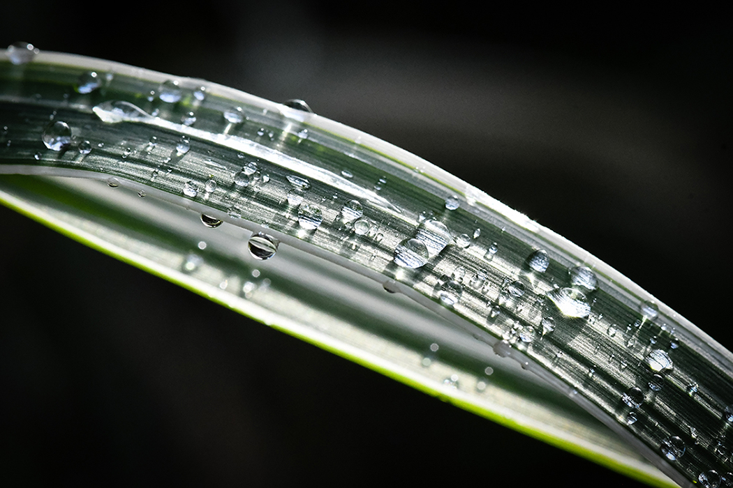 Droplets