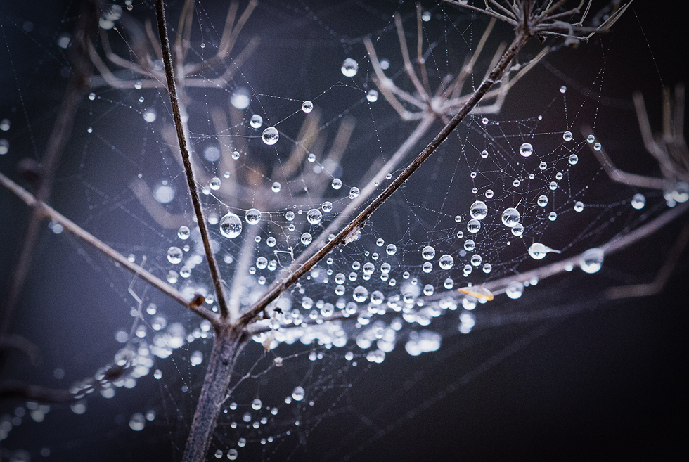 Droplets