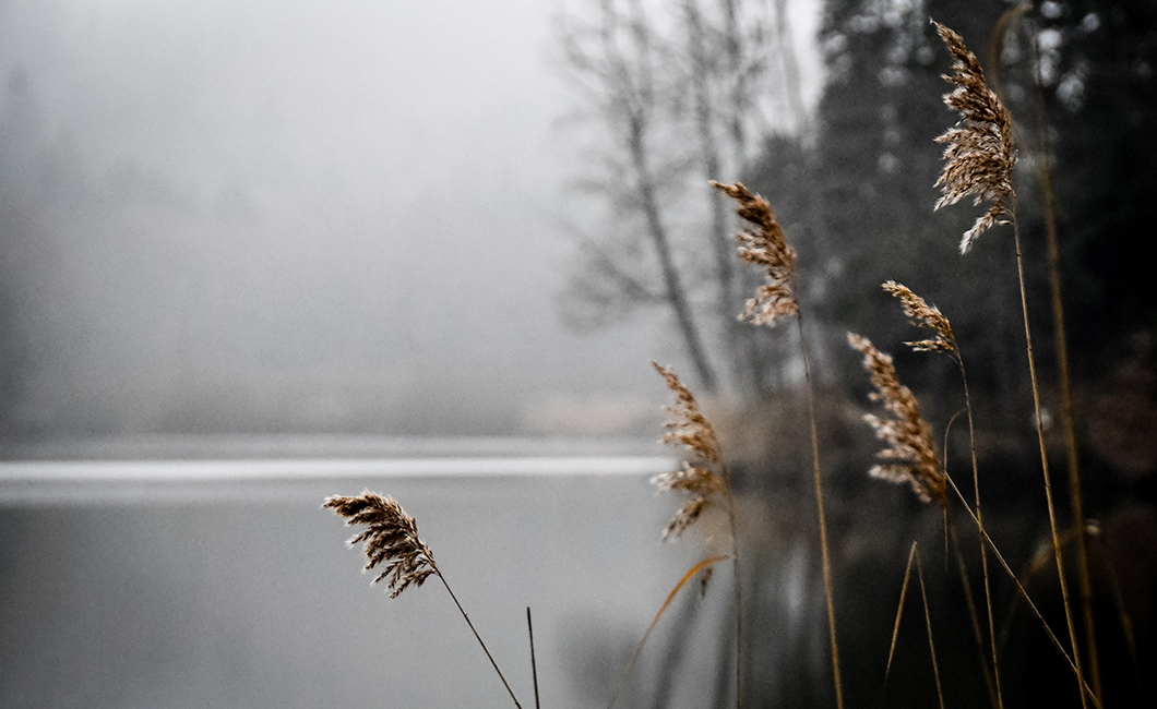 Sunday Morning
