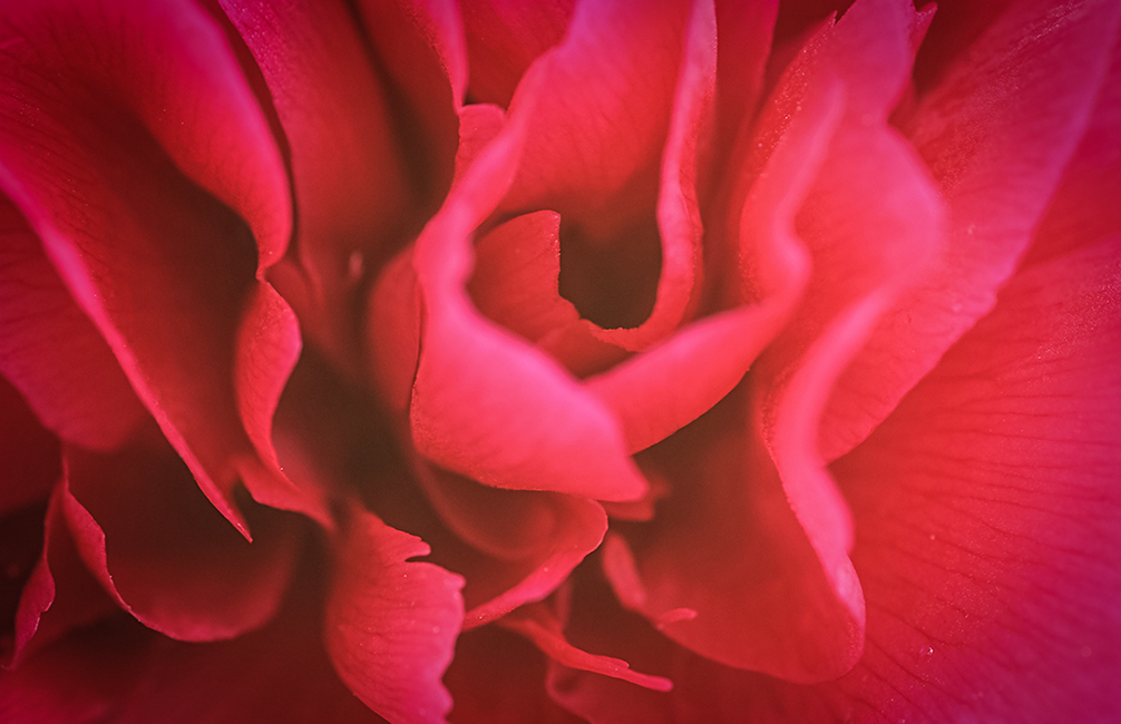 Red vortex